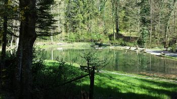 Fishing pond Lellwangen